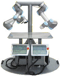 Dual Arm Universal Robots